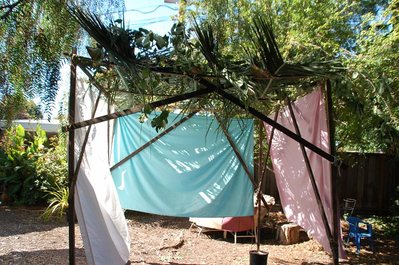 DSC_4225 - 2009-10-04 at 14-53-09.jpg - The rebuilt sukkah, looking into it from the front.